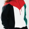 Palestine Flag Pullover Hoodie