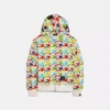 Coach Bape Hoodie